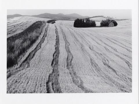 Wheat Fields, David Plowden Photographs.